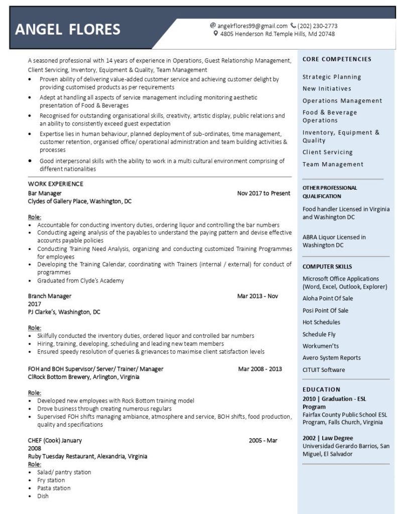professional cv resume writing services